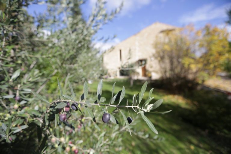 Chambres d'hôtes de charme-Chic-Piscine chauffée-Jacuzzi-Drome provençale-Provence-Baronnies-oliviers